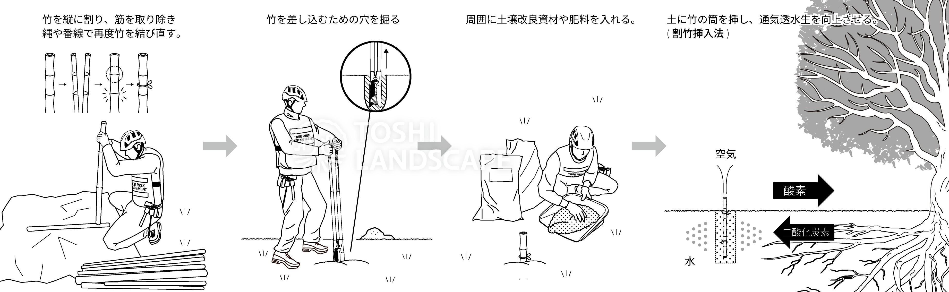 割竹挿入法 イラスト 土壌改良 樹勢回復