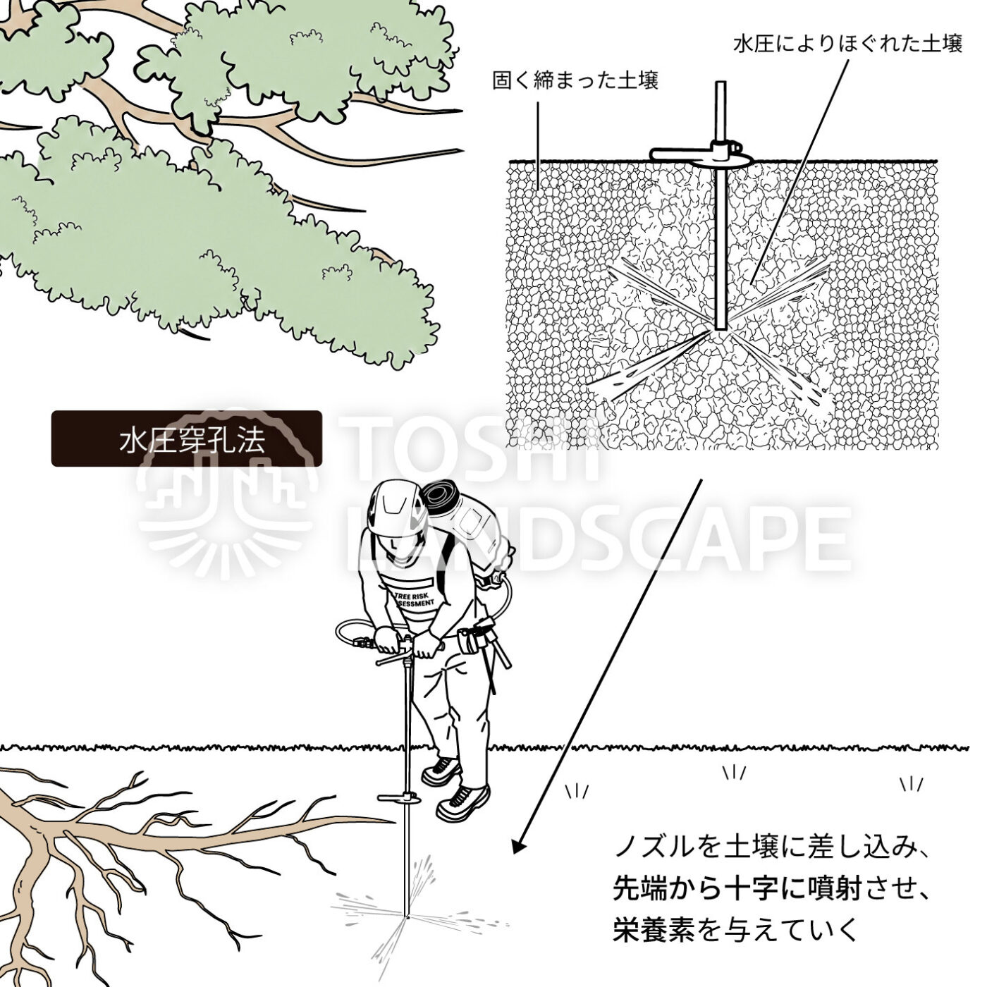 水圧穿孔法 イラスト 土壌改良 樹勢回復