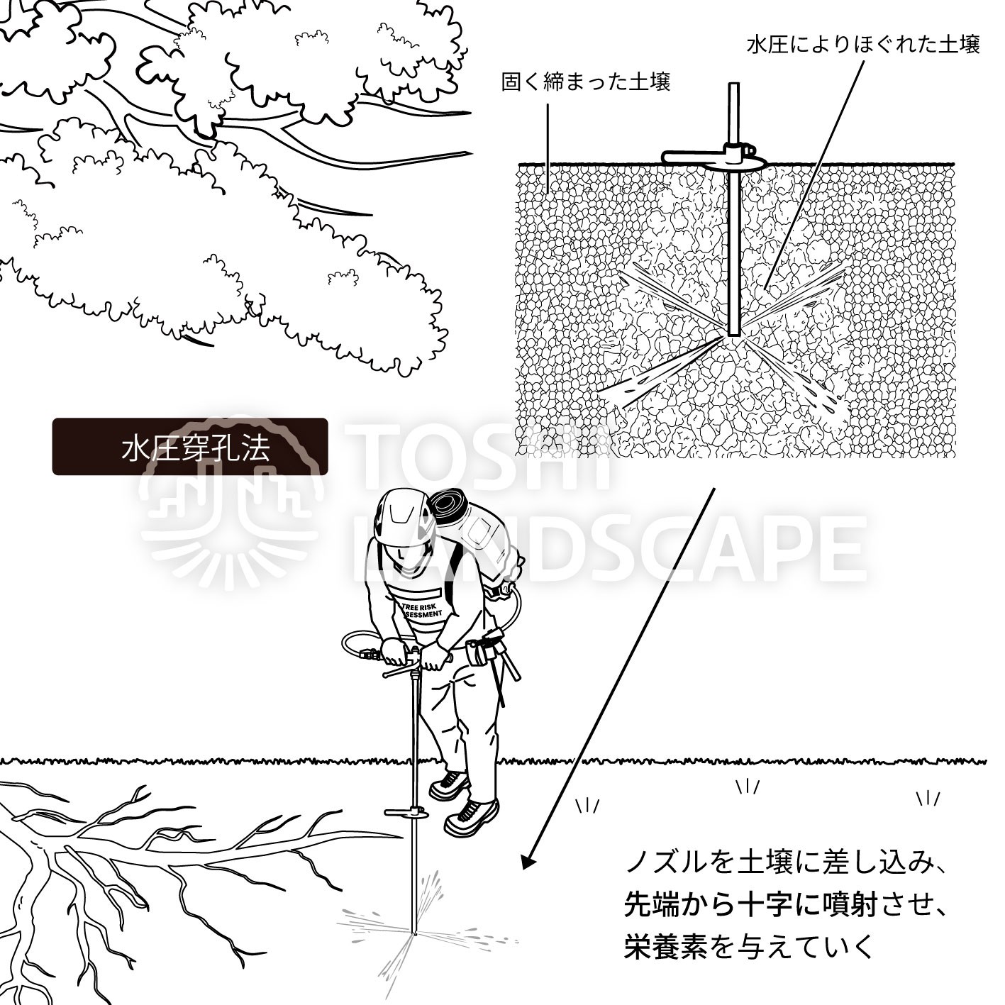 水圧穿孔法 イラスト 土壌改良 樹勢回復