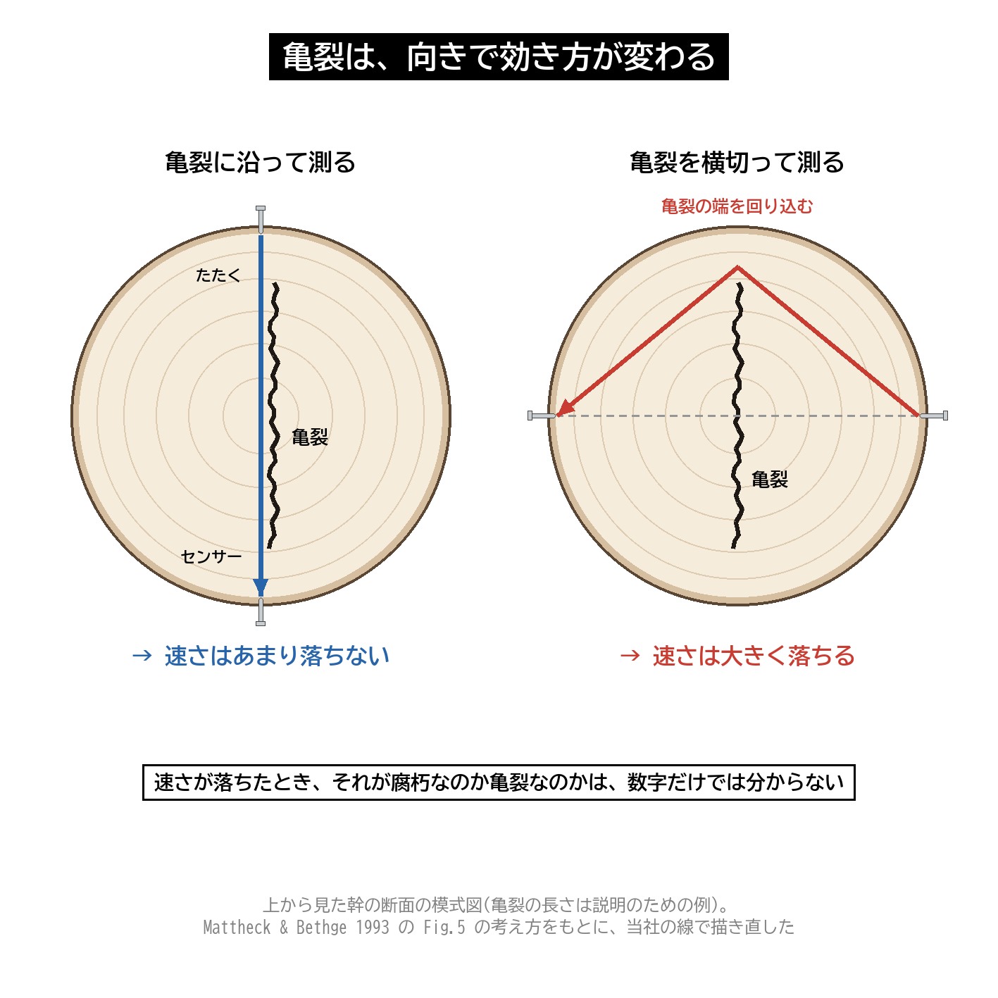 マイクロハンマー 亀裂 向き 音の通り道 平行 横切る 速さ 図解
