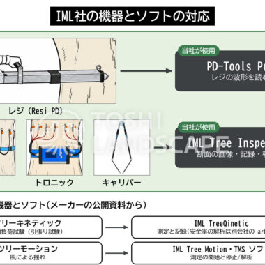 IML Tree Inspection PD-Tools Pro ソフトウェア ピカス トロニック キャリパー レジ 樹木診断 樹木医