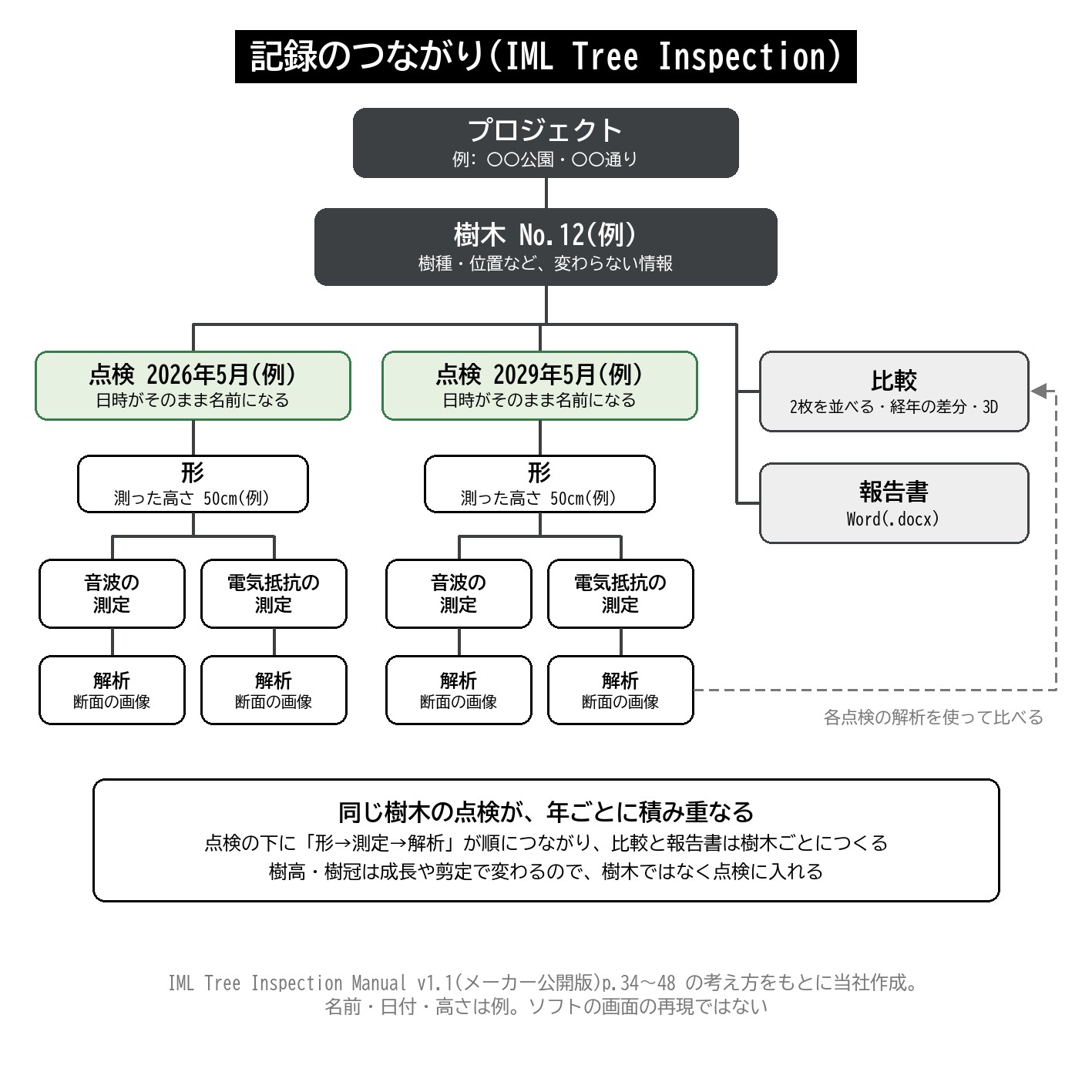 IML Tree Inspection プロジェクト 樹木 点検 形 測定 解析 階層 記録 図解