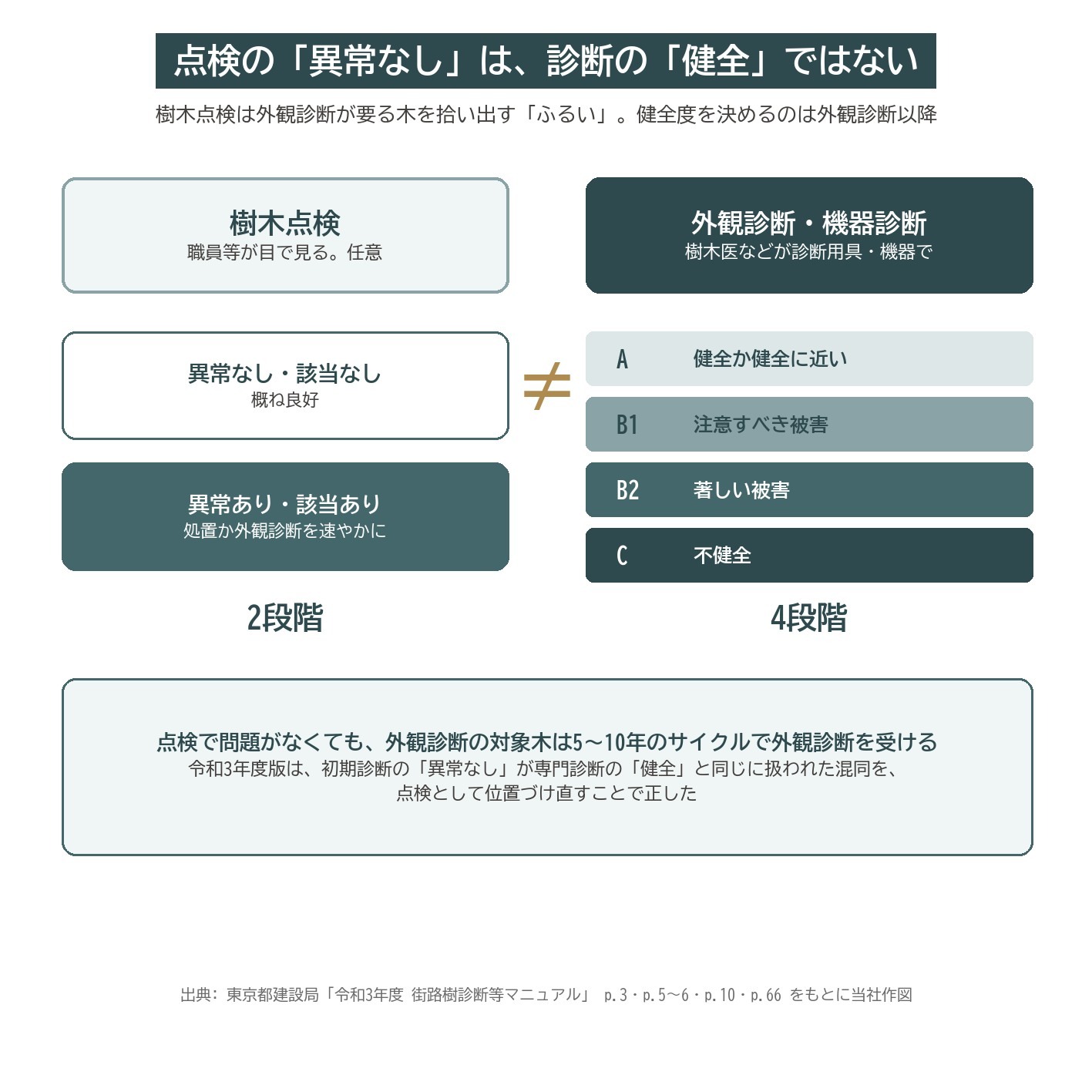 樹木点検 異常なし 健全 違い 2段階 4段階 外観診断 総合判定 街路樹