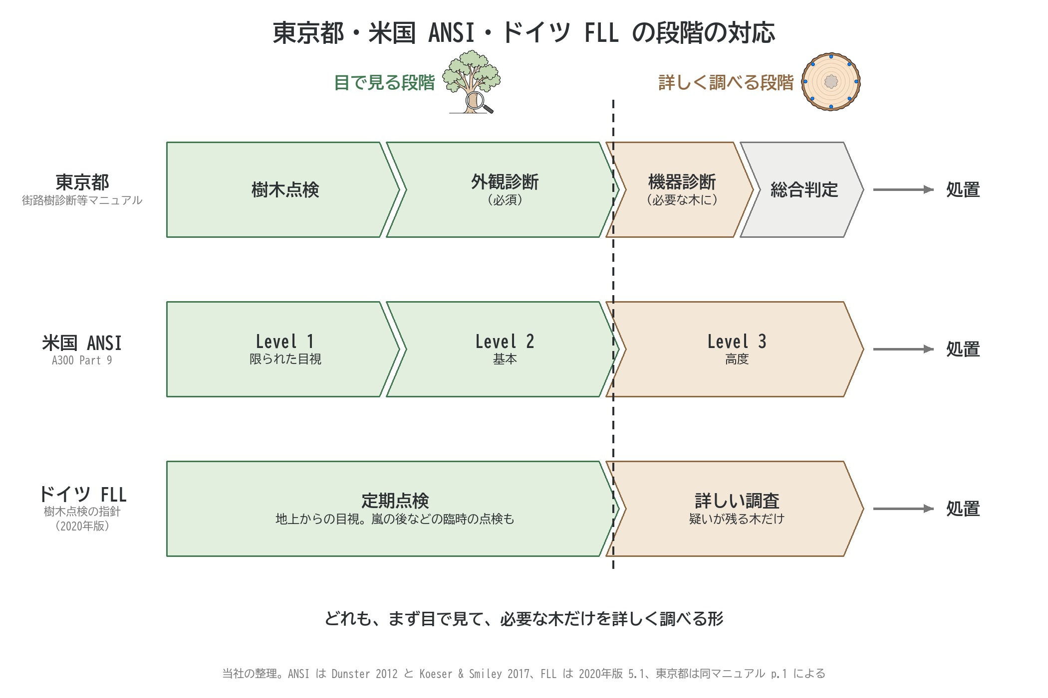 樹木点検 段階 東京都 ANSI FLL
