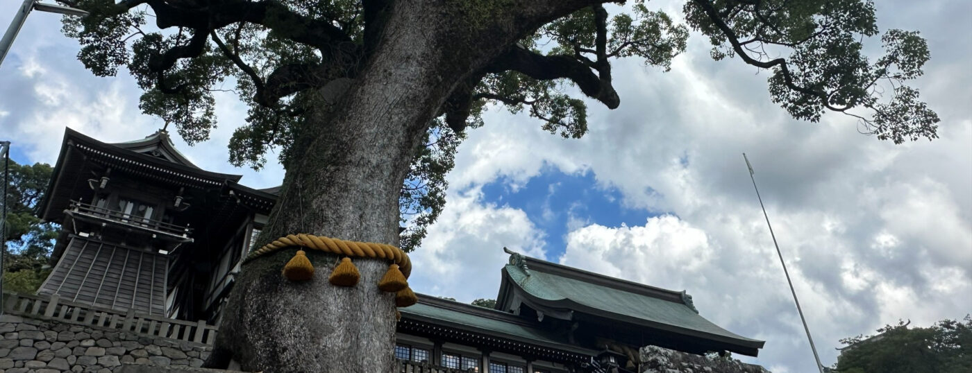 御神木 注連縄 巨木 神社 樹木の時間 樹木医 随想