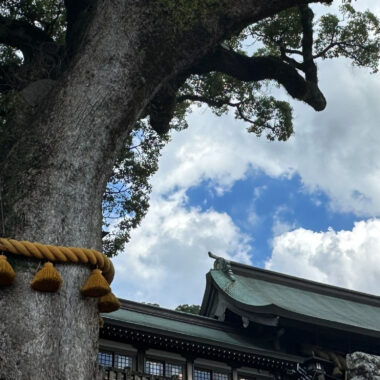 御神木 注連縄 巨木 神社 樹木の時間 樹木医 随想