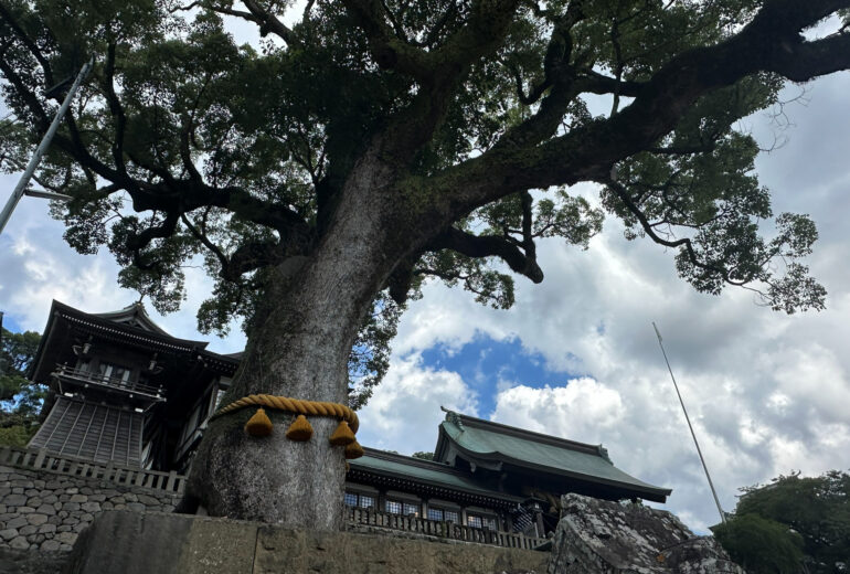 御神木 注連縄 巨木 神社 樹木の時間 樹木医 随想