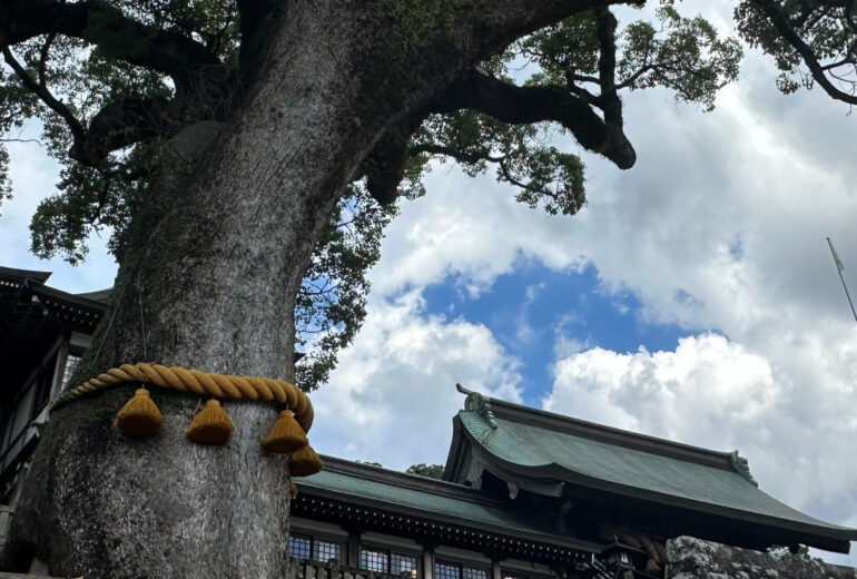 御神木 注連縄 巨木 神社 樹木の時間 樹木医 随想