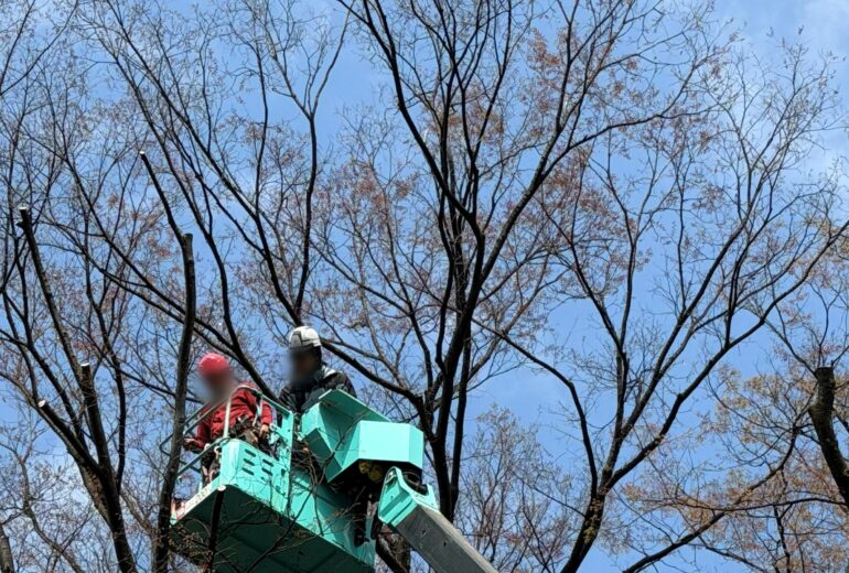 造園 植木屋 資格 高所作業車 樹木医 特別教育 技能講習