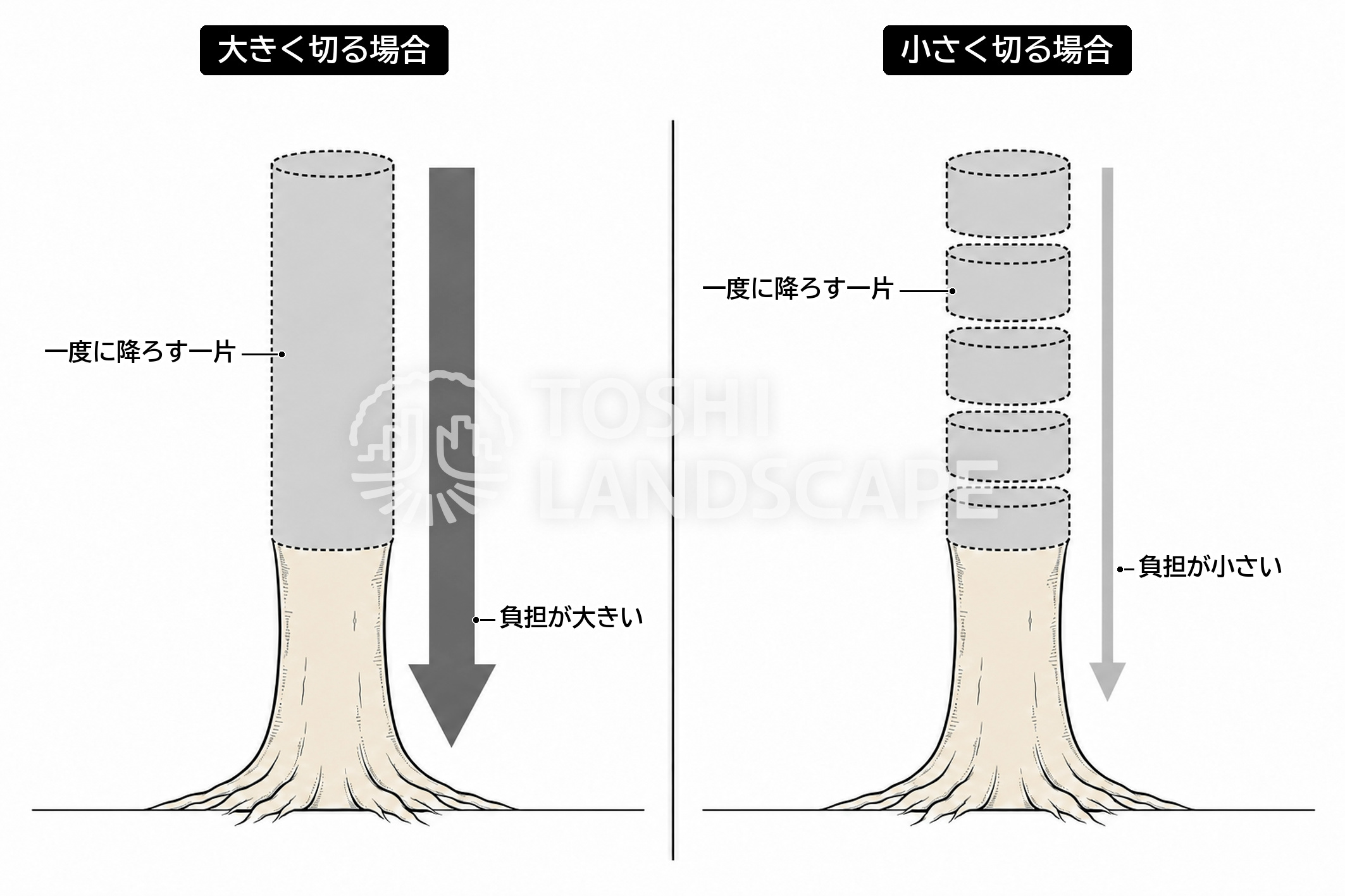 一片 大きく切る 小さく切る 負担 吊り降ろし 幹 比べ