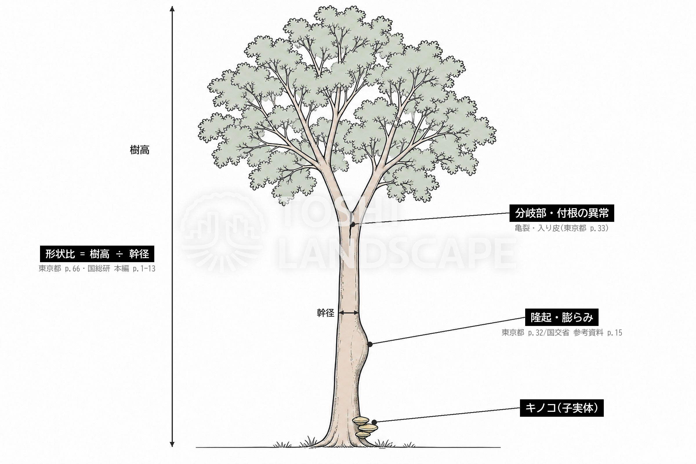 膨らみ 隆起 亀裂 入り皮 キノコ 形状比 外観診断 項目 VTA 図解