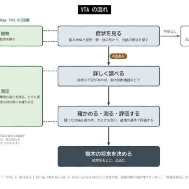 VTA 手順 流れ図 症状 観察 機器 確認 測定 評価 判断 図解