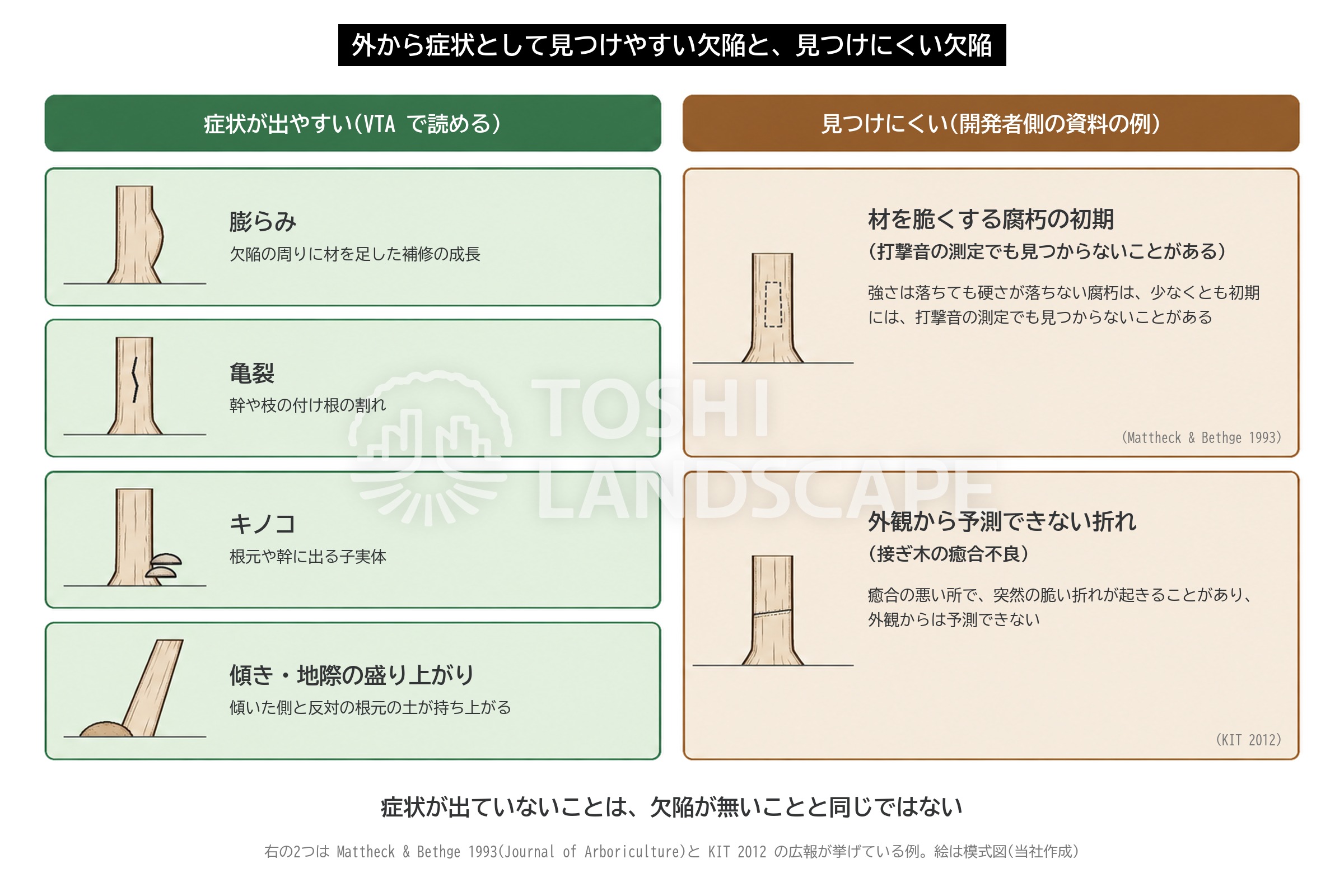 VTA 適用範囲 見える欠陥 見えにくい欠陥 症状 脆い腐朽 接ぎ木 図解