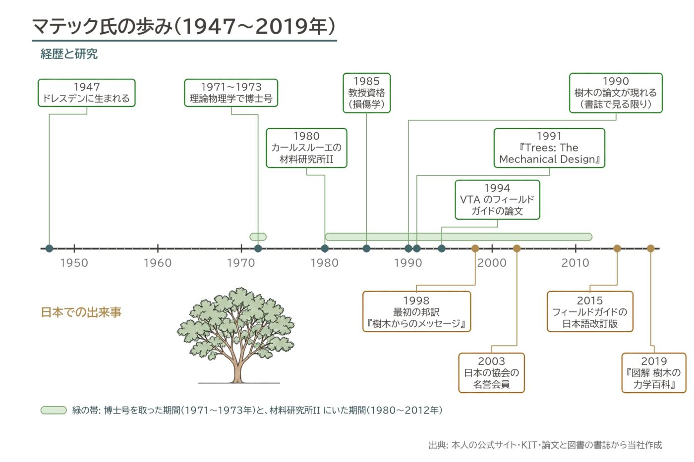 マテック VTA 樹木の外観 欠陥 年表 樹木医