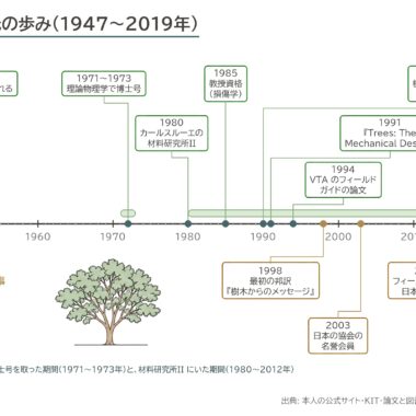 マテック VTA 樹木の外観 欠陥 年表 樹木医