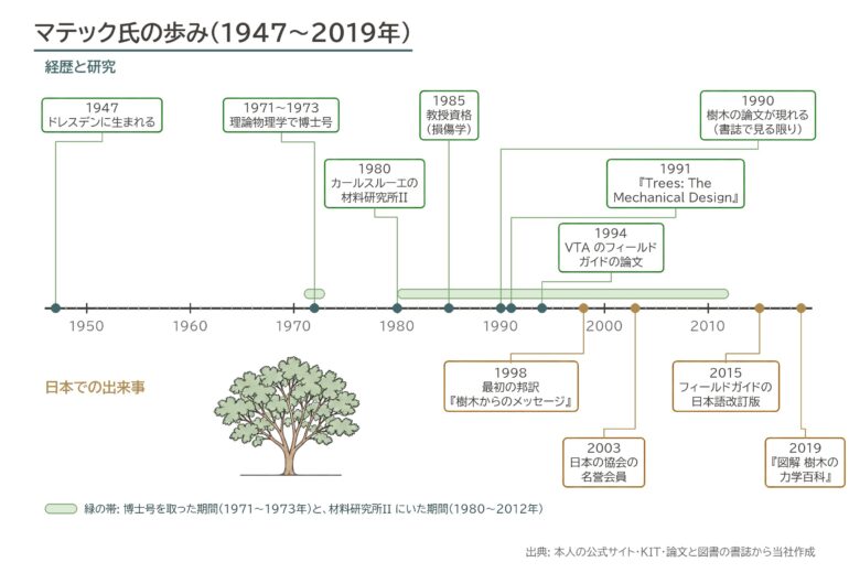 マテック VTA 樹木の外観 欠陥 年表 樹木医