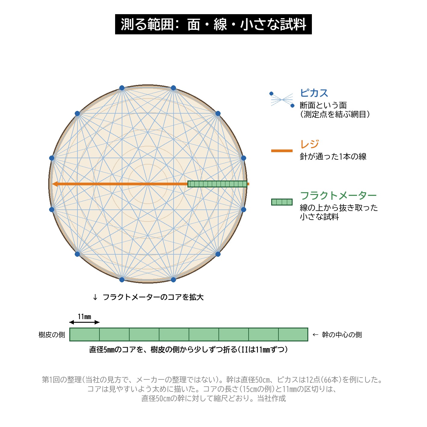 測る範囲 ピカス 面 レジ 線 フラクトメーター 小さな試料 幹の断面 比較 図解