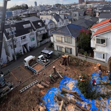 伐採 住宅地 近隣配慮 養生 青いシート クレーン 特殊伐採 樹木医