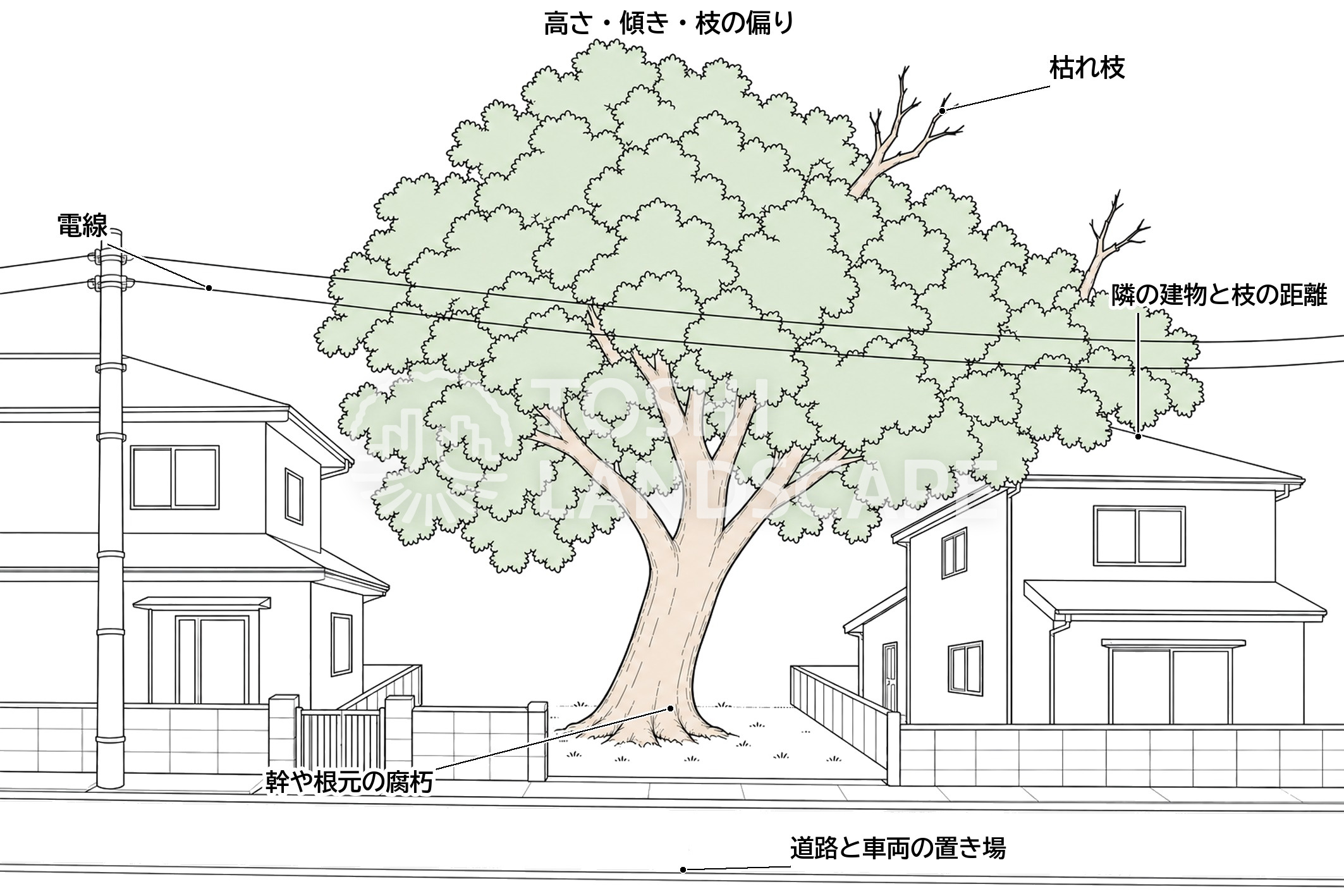 伐採 現地調査 高さ 傾き 電線 建物 車両 道路 特殊伐採 イラスト