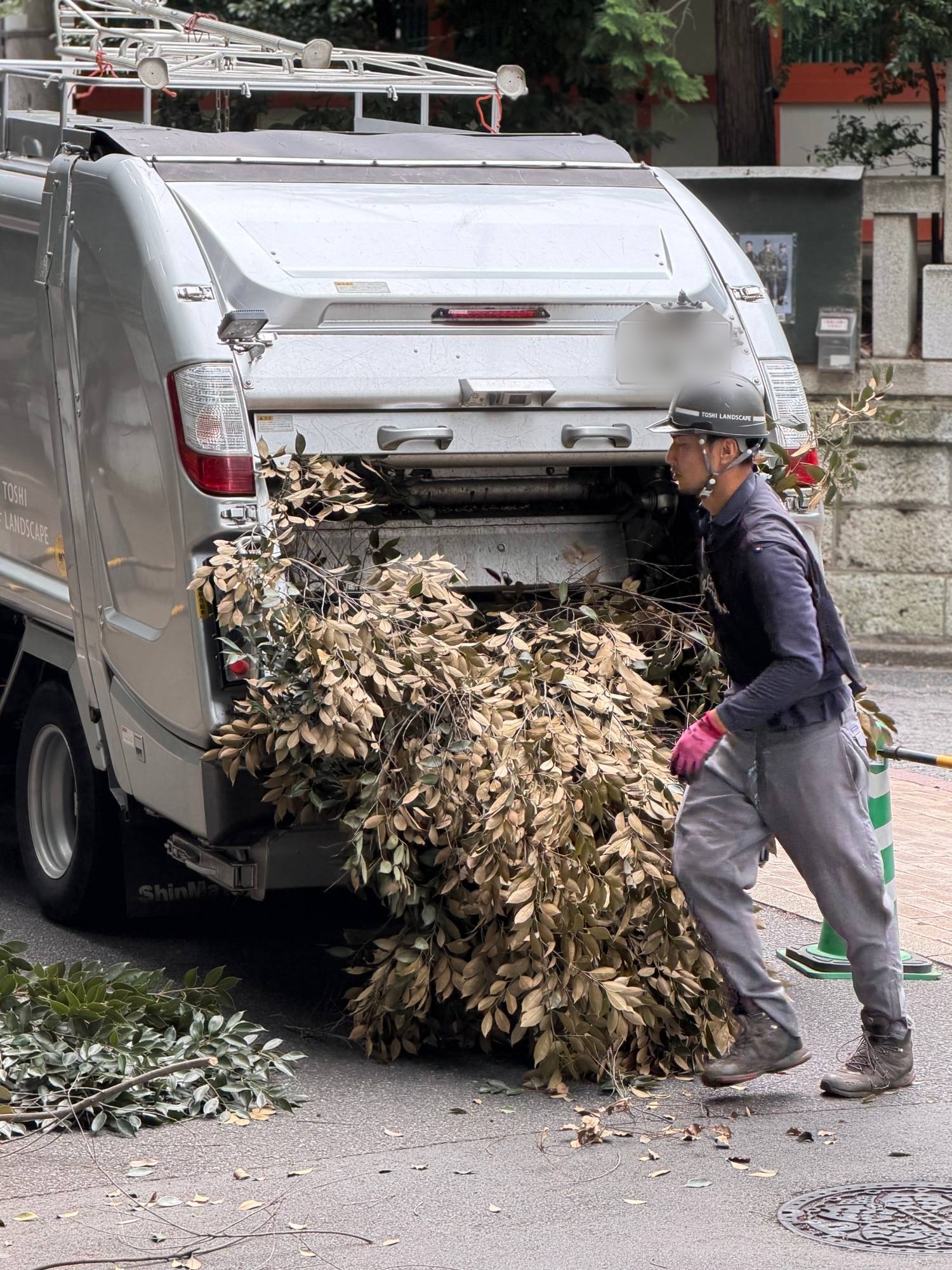 パッカー車 剪定枝 積み込み 投入口 造園会社