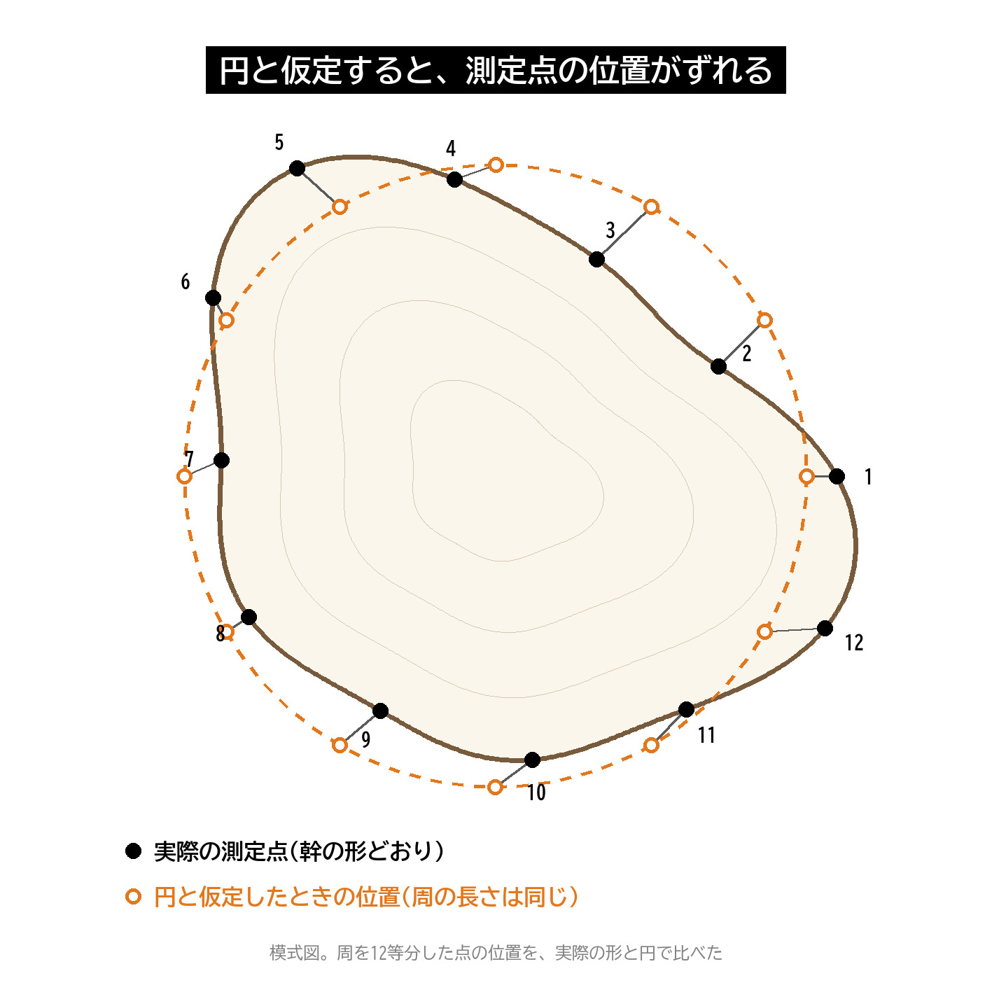 円と仮定 実際の幹の形 測定点の位置 ずれ 三角測量 キャリパー 図解
