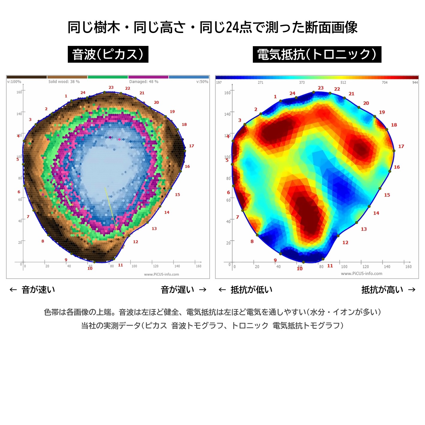 ピカス 音波 トロニック 電気抵抗 断面画像 同じ木 同じ測定点 実測 比較