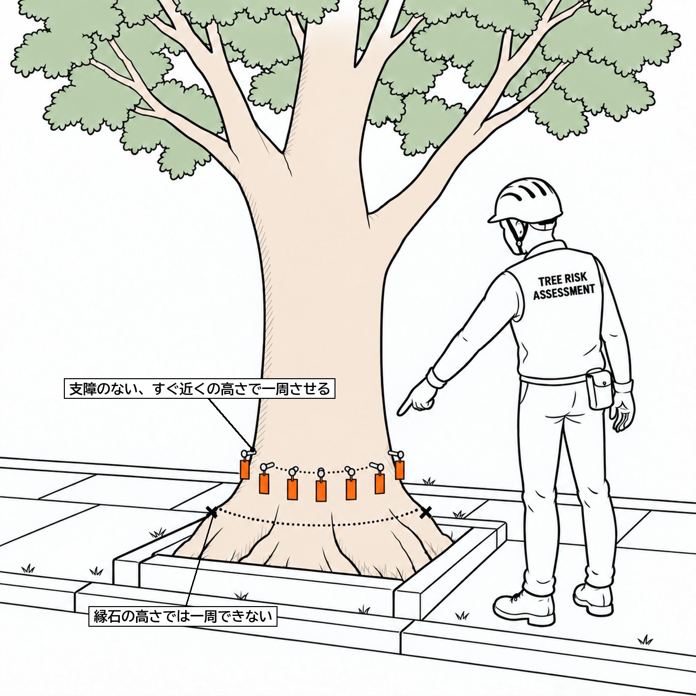 ピカス 街路樹 植え桝 縁石 測定点 一周 支障のない高さ 図解