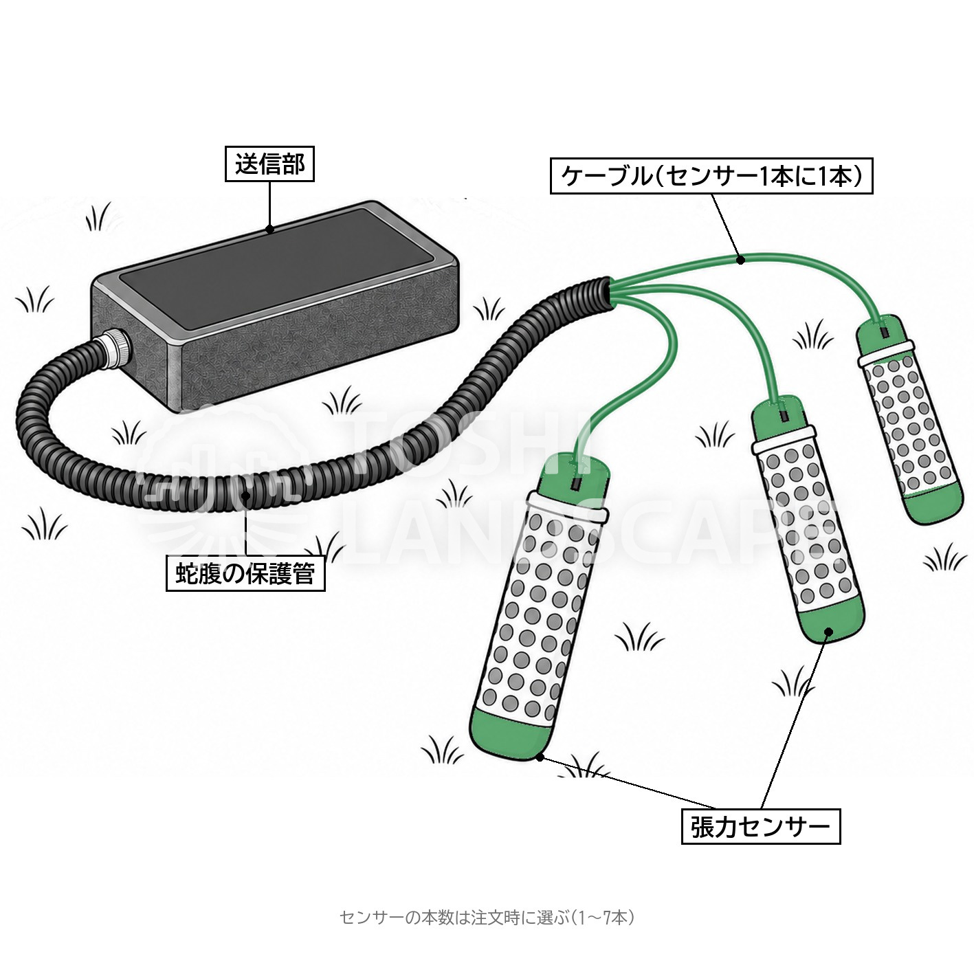 テンション 構成 送信部 張力センサー ケーブル 保護管 PiCUS Tension 図解