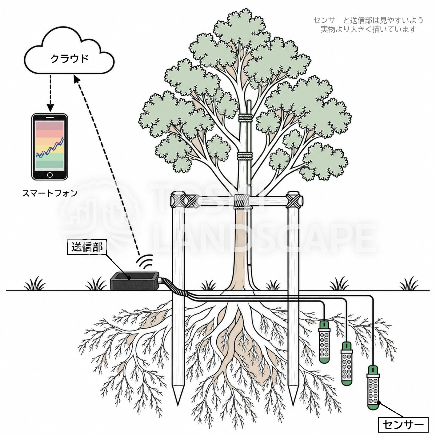 テンション PiCUS Tension 土壌水分張力 センサー 根元 送信部 クラウド 樹木 図解