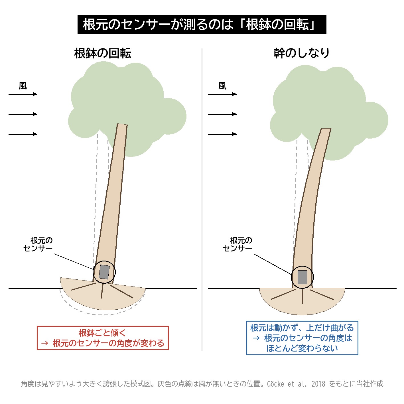 根鉢の回転 幹のしなり 根元の傾き センサー 違い 模式図