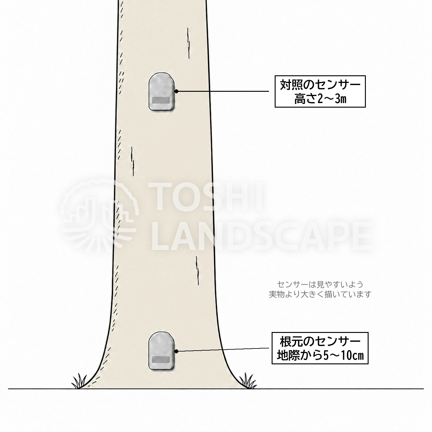 ツリーモーション センサーの位置 根元 地際 高さ2〜3m 対照のセンサー 根鉢の傾き 図解