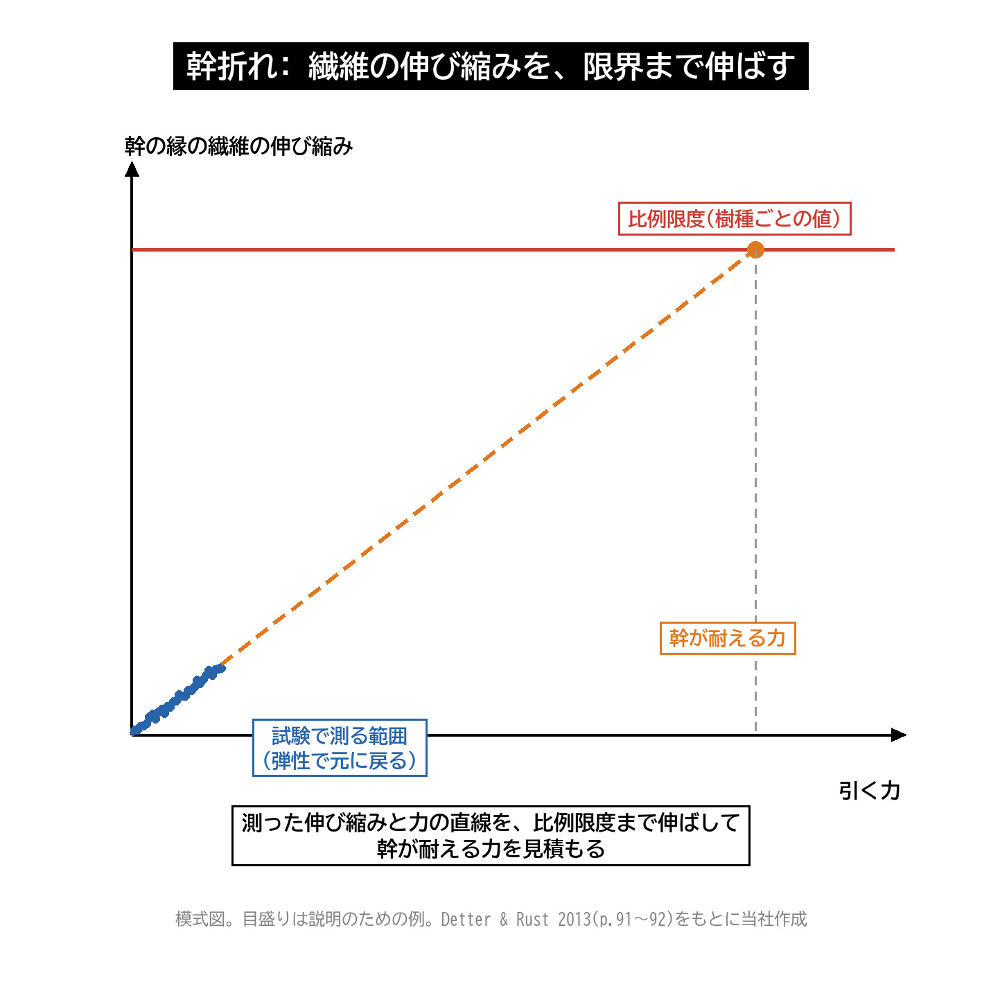 幹折れ 繊維の伸び縮み 比例限度 外挿 エラストメーター 引張り試験 模式図