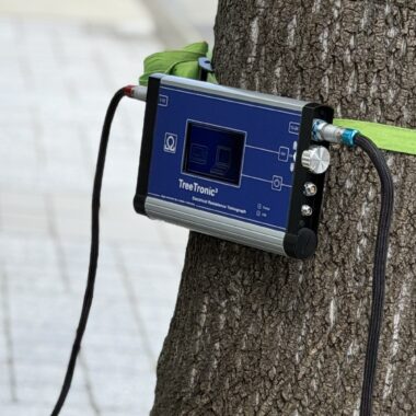 トロニック PiCUS TreeTronic 電気抵抗トモグラフ 樹木診断 樹木医