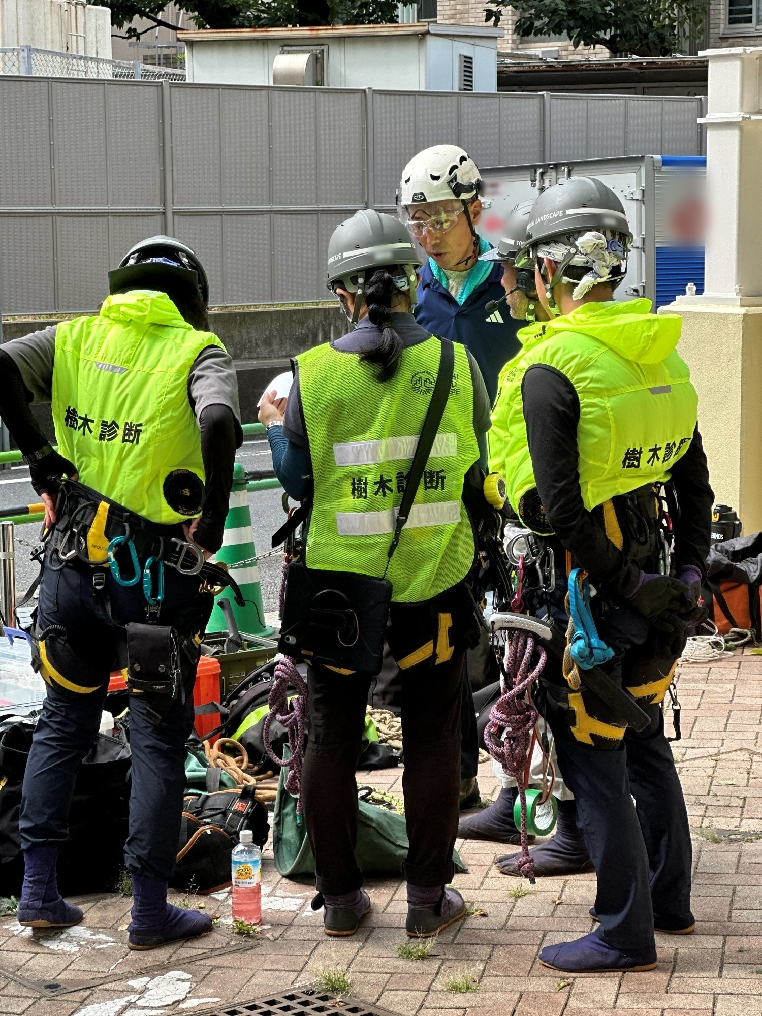作業前 打合せ 保護帽 ヘルメット 反射ベスト コーン 立入防止 樹木診断 樹木医