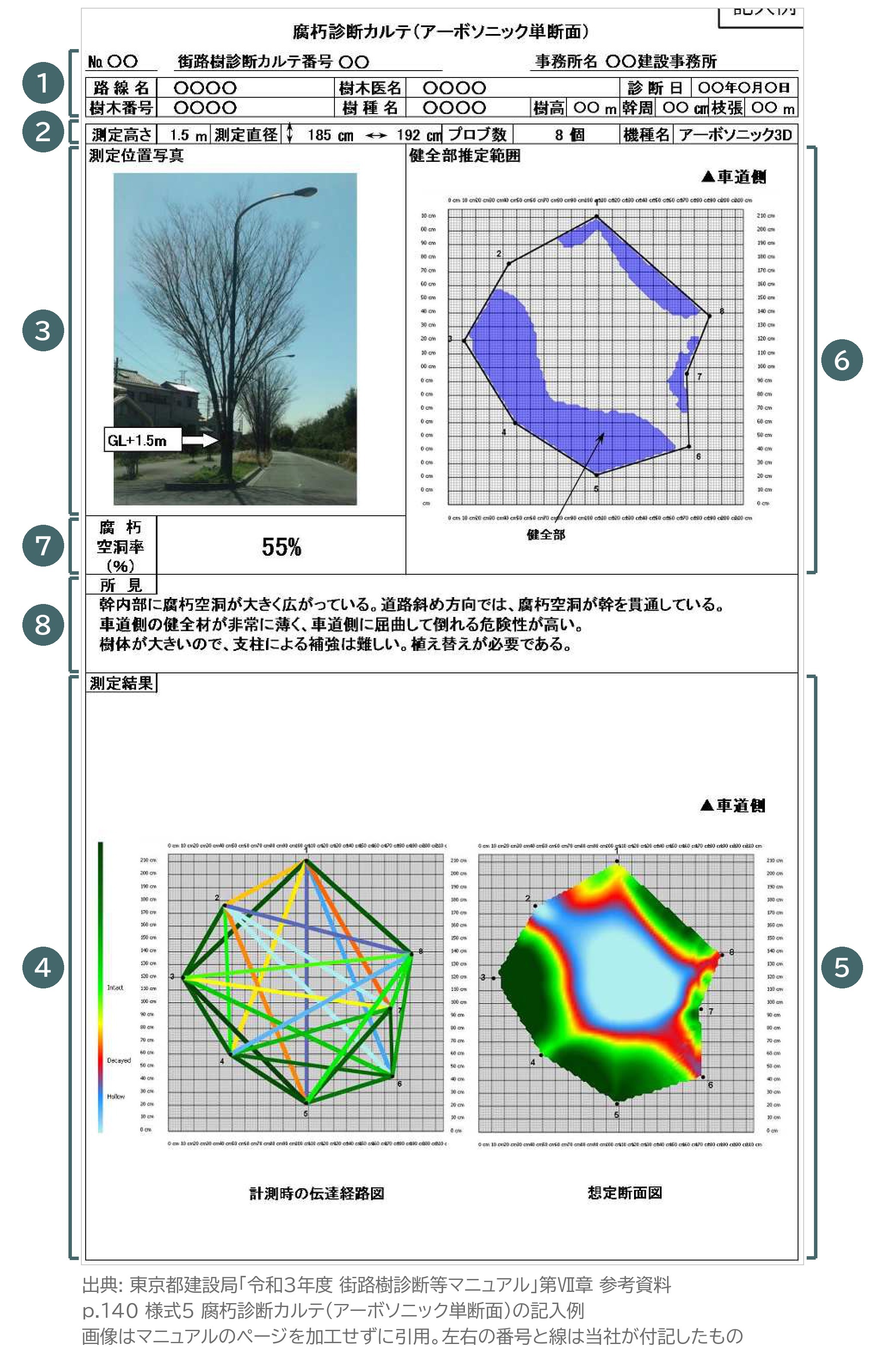 腐朽診断カルテ アーボソニック 単断面 記入例 様式5 東京都 街路樹診断等マニュアル 伝達経路図 想定断面図 腐朽空洞率
