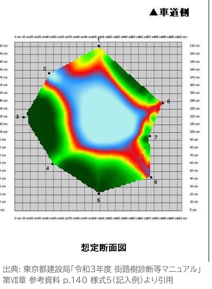 アーボソニック 想定断面図 記入例 断面画像 健全 腐朽 空洞 色
