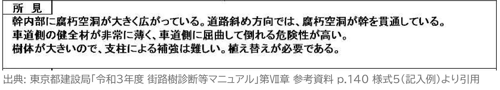 アーボソニック 腐朽診断カルテ 所見 記入例