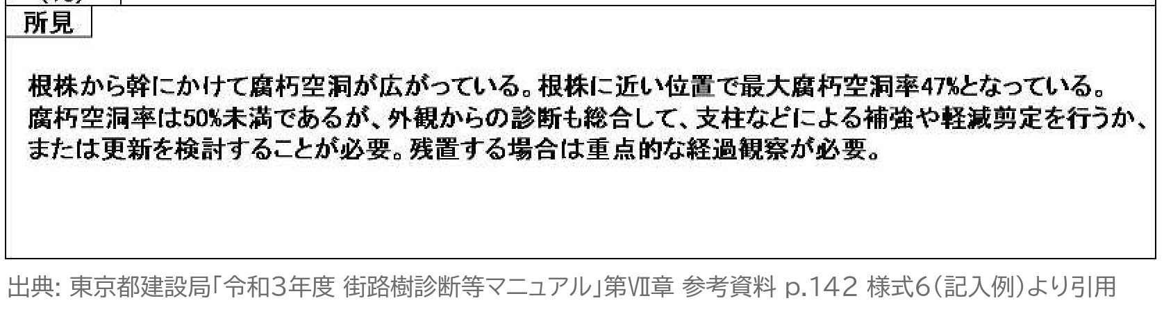 アーボソニック 多断面 所見 記入例 補強 軽減剪定 更新 経過観察
