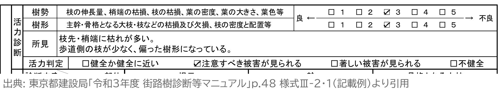 街路樹診断カルテ 記載例 活力診断 東京都 街路樹診断等マニュアル