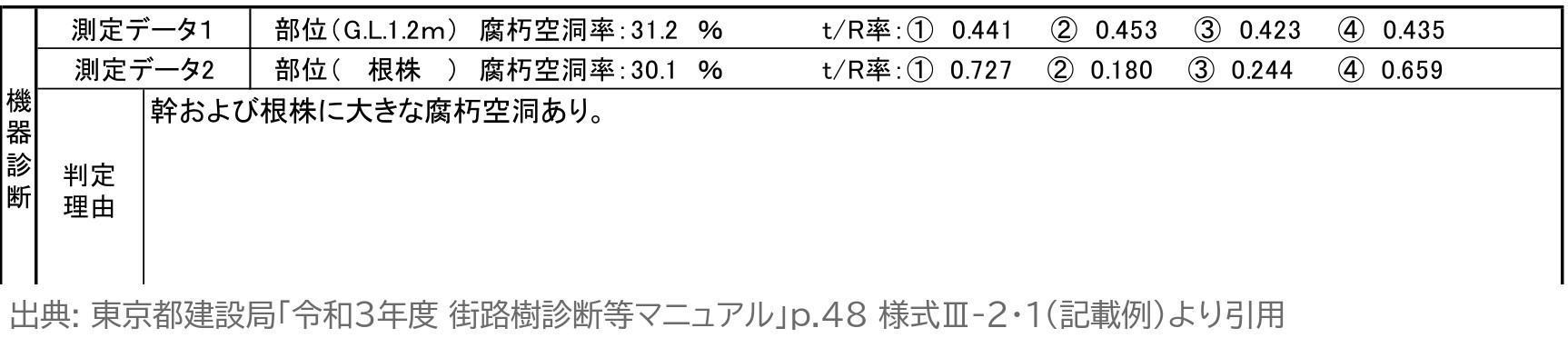 街路樹診断カルテ 記載例 機器診断 東京都 街路樹診断等マニュアル