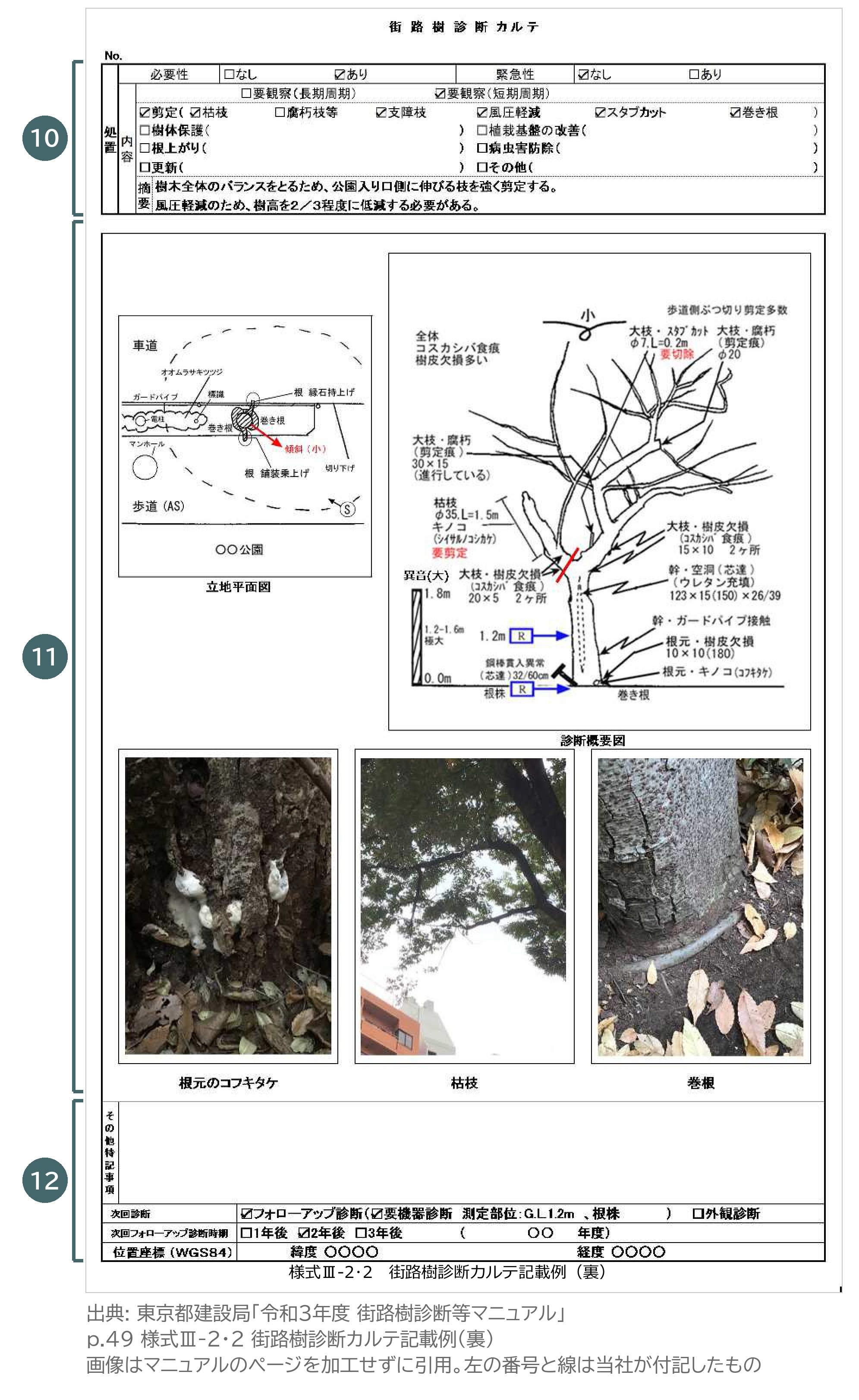 街路樹診断カルテ 記載例 裏 様式Ⅲ-2・2 東京都 処置 診断概要図 次回診断