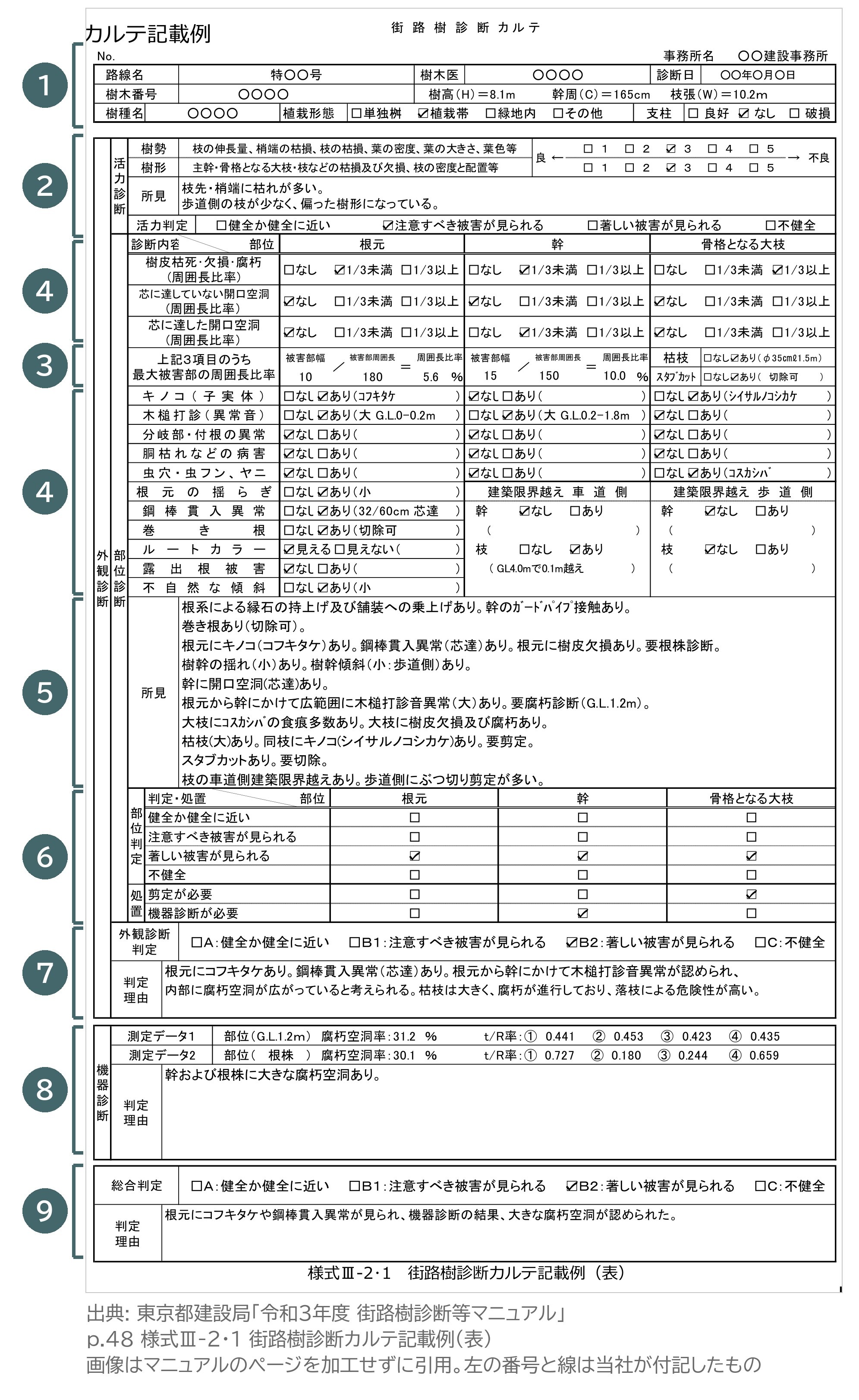 街路樹診断カルテ 記載例 表 様式Ⅲ-2・1 東京都 街路樹診断等マニュアル