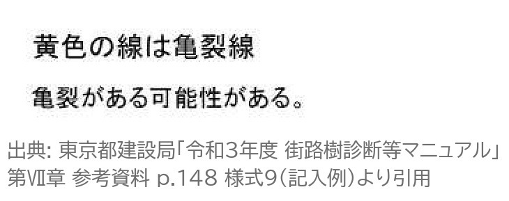 ピカス 黄色の線 亀裂線 亀裂 可能性 記入例