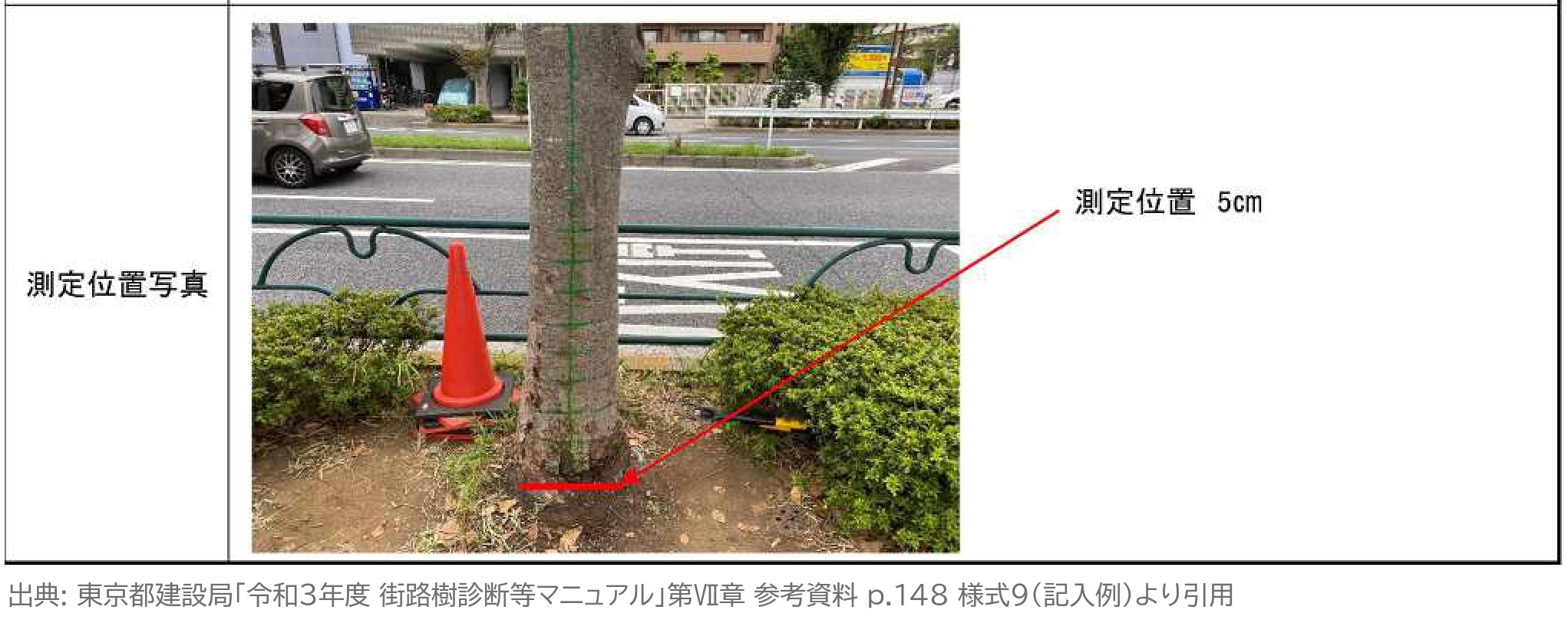 ピカス 測定位置写真 地際 5cm 街路樹 根元 記入例
