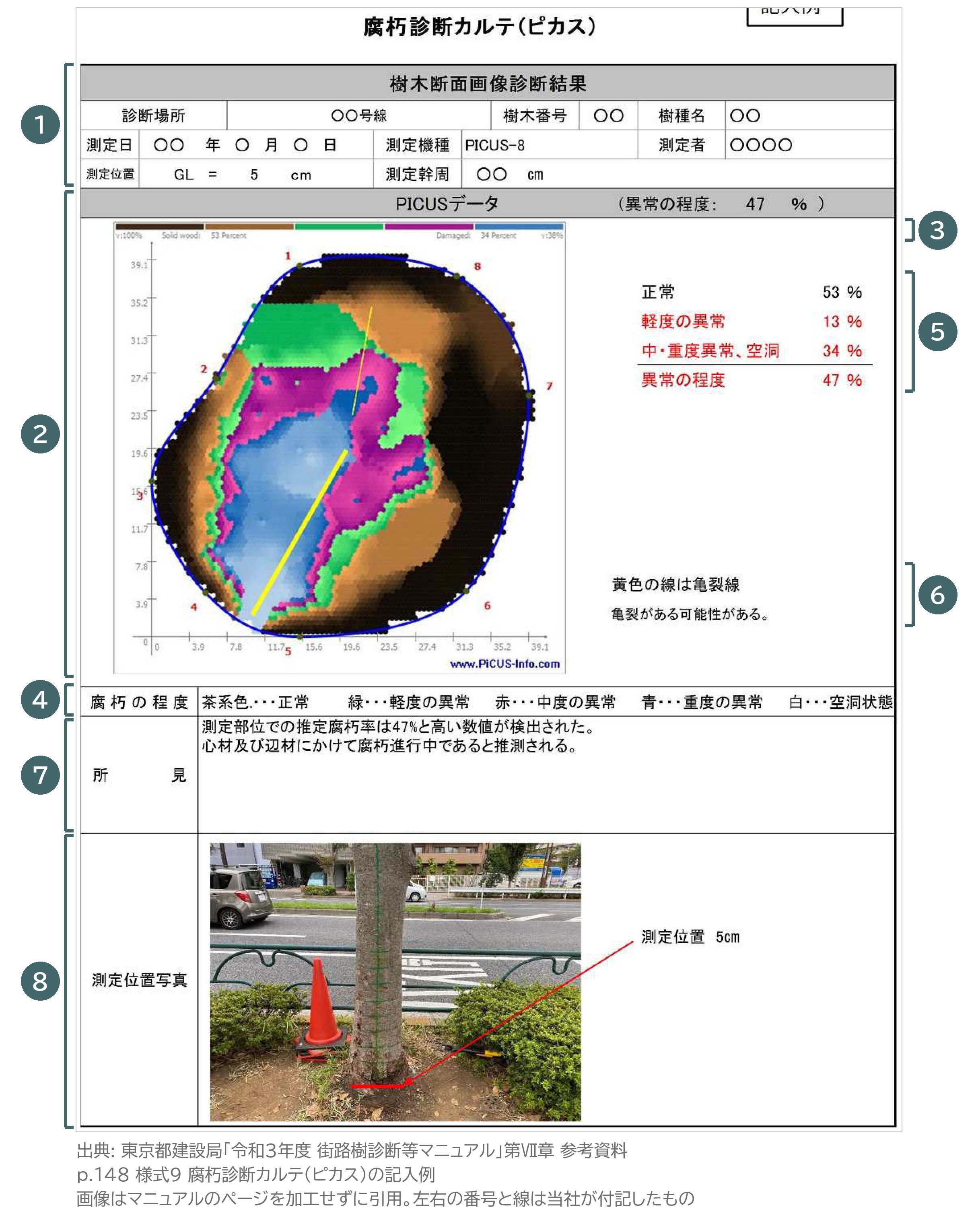 腐朽診断カルテ ピカス 記入例 様式9 東京都 街路樹診断等マニュアル 断面画像 異常の程度