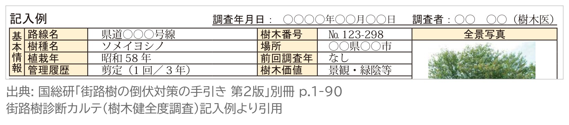街路樹診断カルテ 基本情報 路線名 樹種名 植栽年 管理履歴 前回調査年 樹木価値 記入例