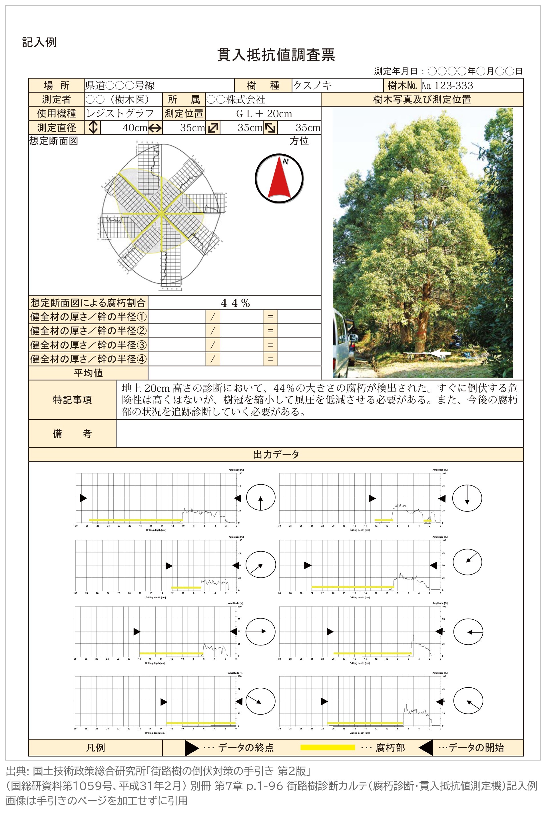街路樹診断カルテ 腐朽診断 貫入抵抗値測定機 記入例 健全材の厚さ 幹の半径 腐朽割合 街路樹の倒伏対策の手引き 第2版