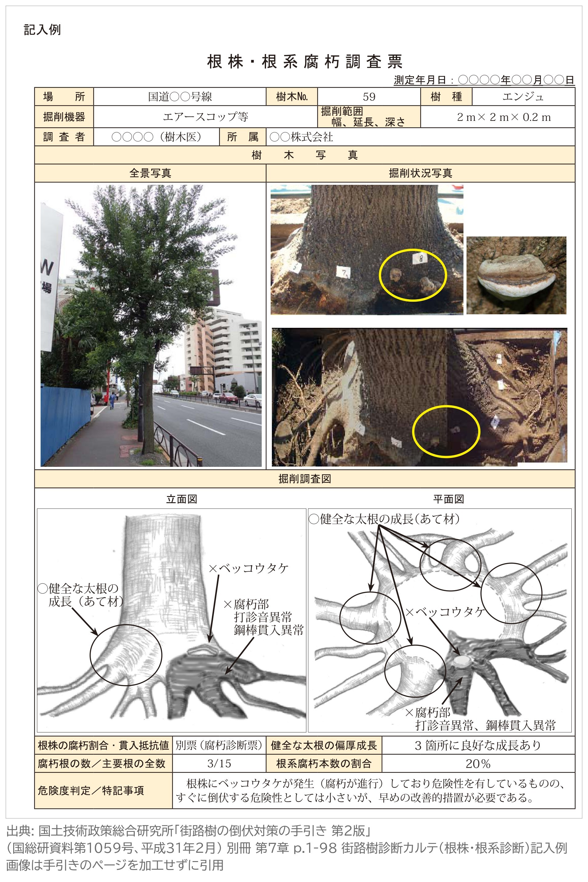 街路樹診断カルテ 根株・根系診断 記入例 掘削調査図 根系の腐朽割合 街路樹の倒伏対策の手引き 第2版
