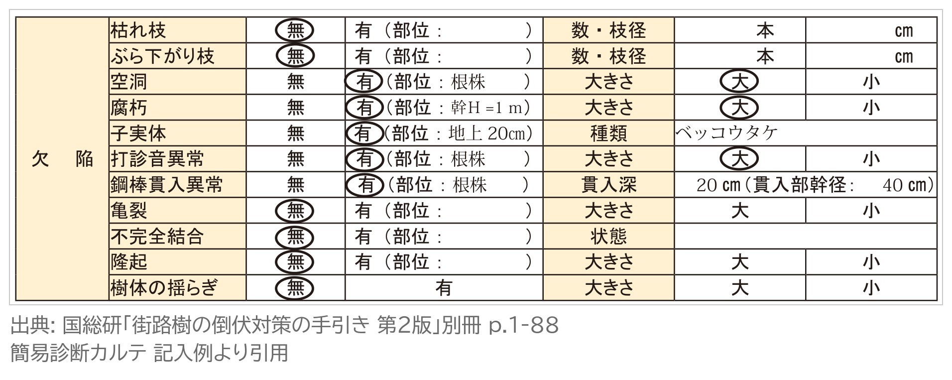 簡易診断カルテ 欠陥 枯れ枝 空洞 腐朽 子実体 ベッコウタケ 打診音異常 鋼棒貫入異常 記入例