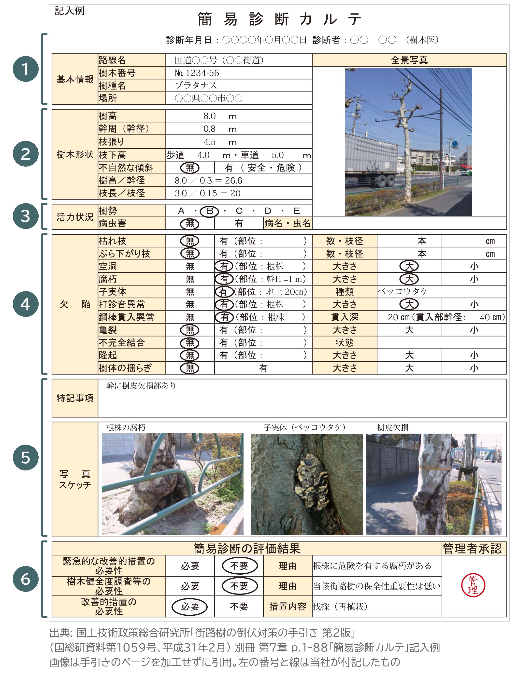簡易診断カルテ 記入例 プラタナス 街路樹の倒伏対策の手引き 第2版 国総研 樹木形状 活力状況 欠陥 評価結果